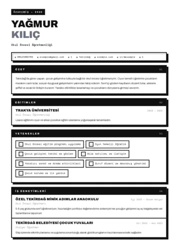Okul Öncesi Öğretmeni Öğretmenliği Cv Örnekleri cv indir